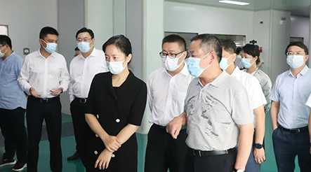 市委副书记、代市长盛蕾一行莅临公司视察调研